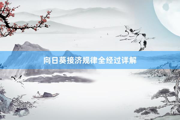 向日葵接济规律全经过详解